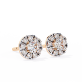 WOKE ™ Halo VVS-F Moissanite Studs in 14/18k Gold (Copy)