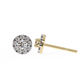 WOKE ™ Halo VVS-F Moissanite Studs in 14/18k Gold (Copy)