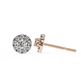 WOKE ™ Halo VVS-F Moissanite Studs in 14/18k Gold (Copy)