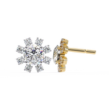 WOKE ™Moissanite Star studded Studs
