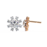WOKE ™Moissanite Star studded Studs