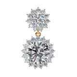WOKE ™ VVS-F Lab Grown 3 Carat Round cut Diamond HAO setting earrings in 14/18k Gold