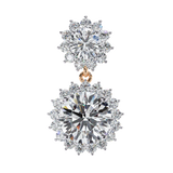 WOKE ™ VVS-F Lab Grown 3 Carat Round cut Diamond HAO setting earrings in 14/18k Gold