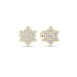 Unisex Star sky studs in Lab Grown diamonds | WOKE