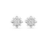 Star solistice studs | WOKE