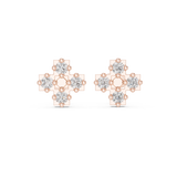 Snowflake studs in Lab growns| WOKE