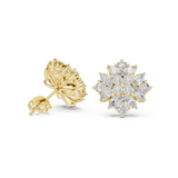 2.6 CT Marquise & Round Moissanite Studs in 9K Gold/925 Silver |WOKE