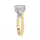 WOKE ™ 2.70 CARAT VVS-EF Oval cut Lab Grown Diamond ring in 9K/14K/18k Gold