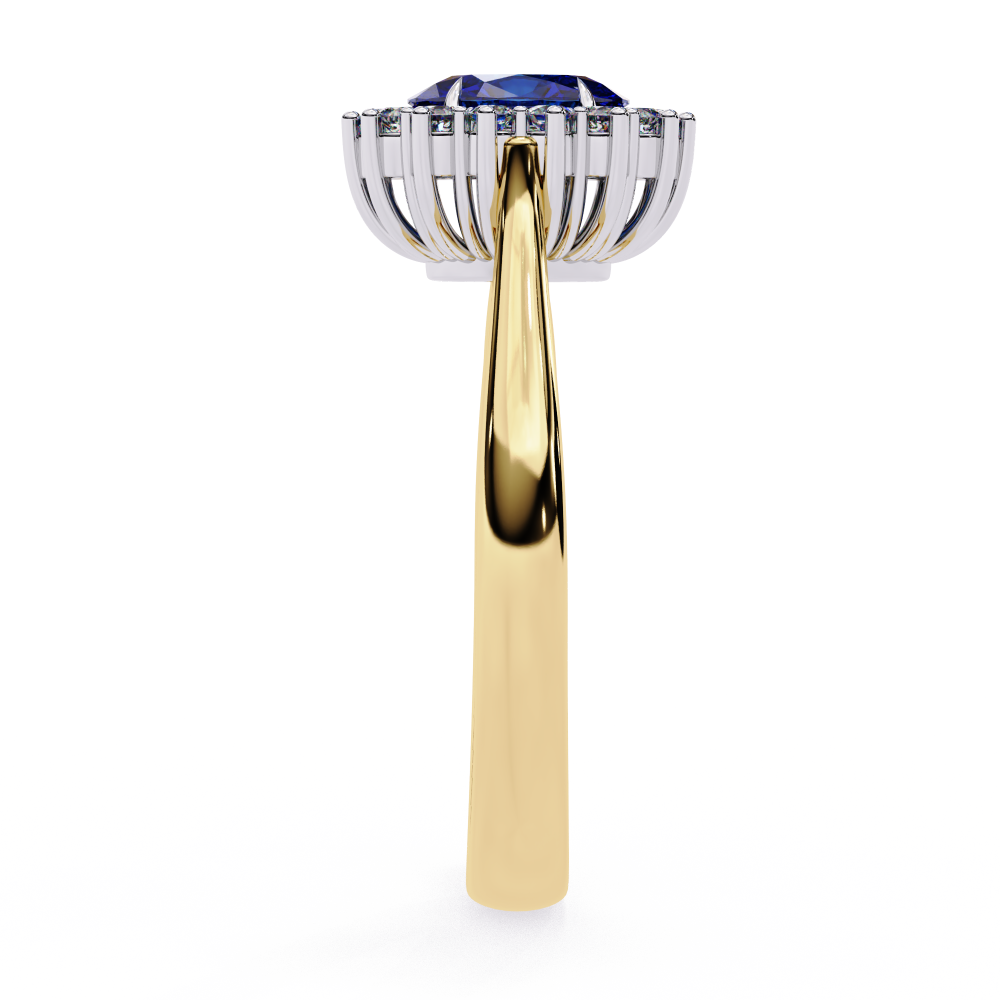 Slide image
