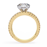 WOKE™ 2.78 CARAT VVS-EF Lab Grown Diamond in 9K/14K/18k Gold