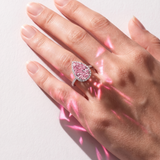 "BLOSSOM" PEAR PINK| 2026