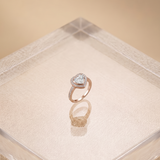 1 CT Heart Moissanite Ring | WOKE