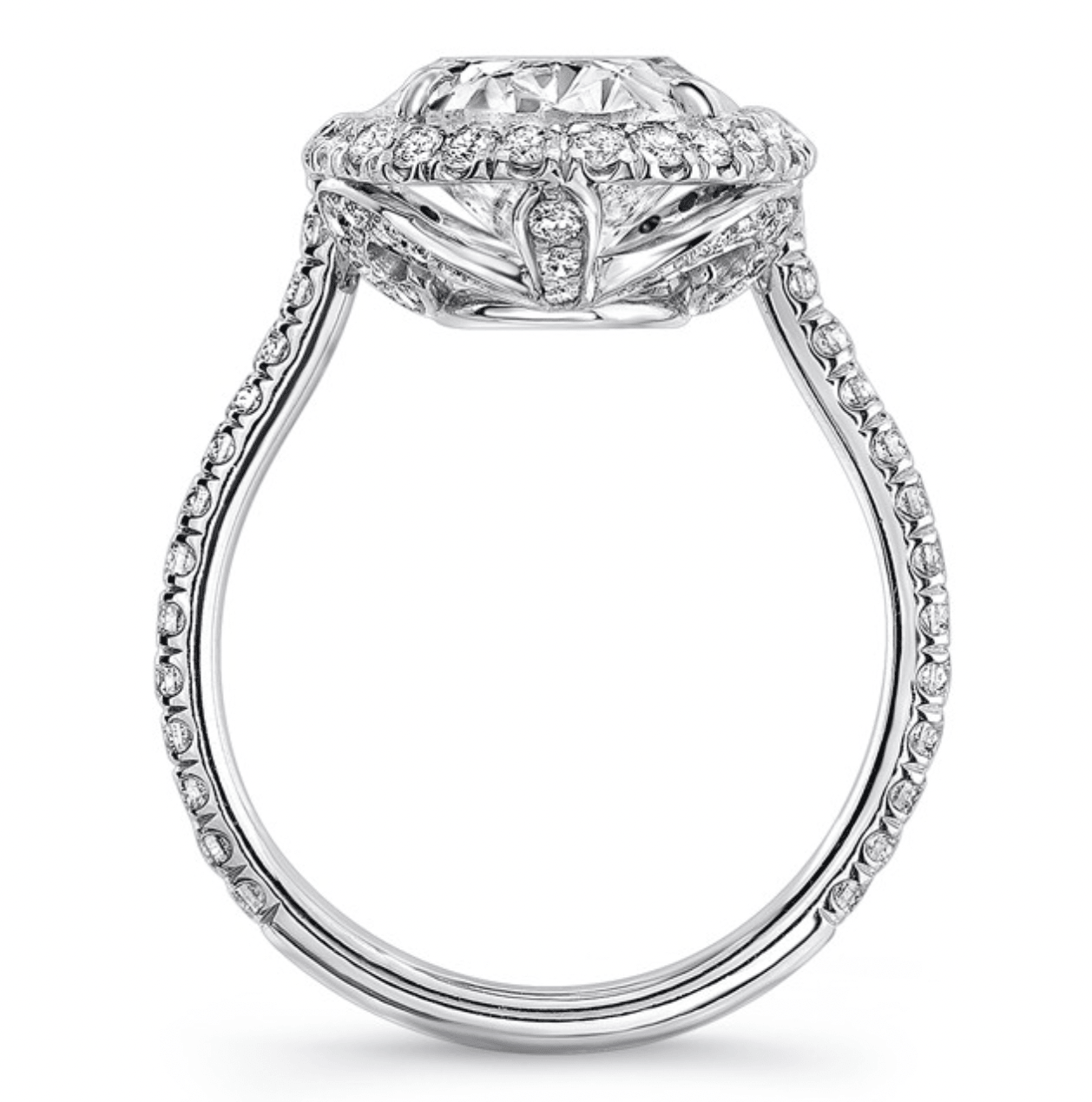 6 Ct. Oval Cut Halo queen ring | In 925 sterling silver and 14k Gold| GRA certified moissanites