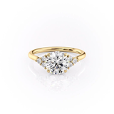 ROUND CUT MOISSANITE WITH SIDE STONES| WOKE